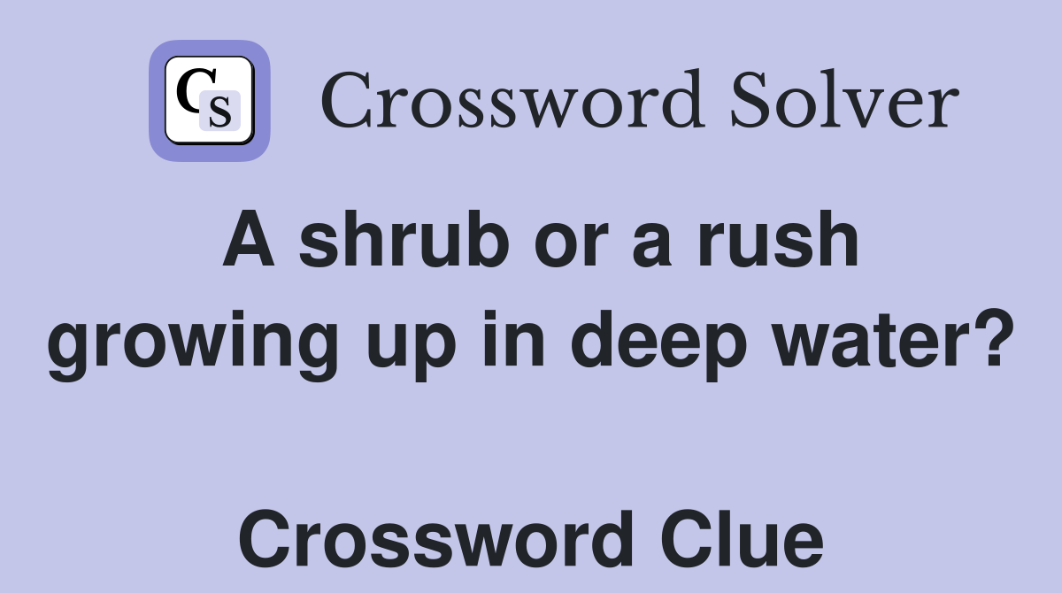 A shrub or a rush growing up in deep water?  Crossword Clue