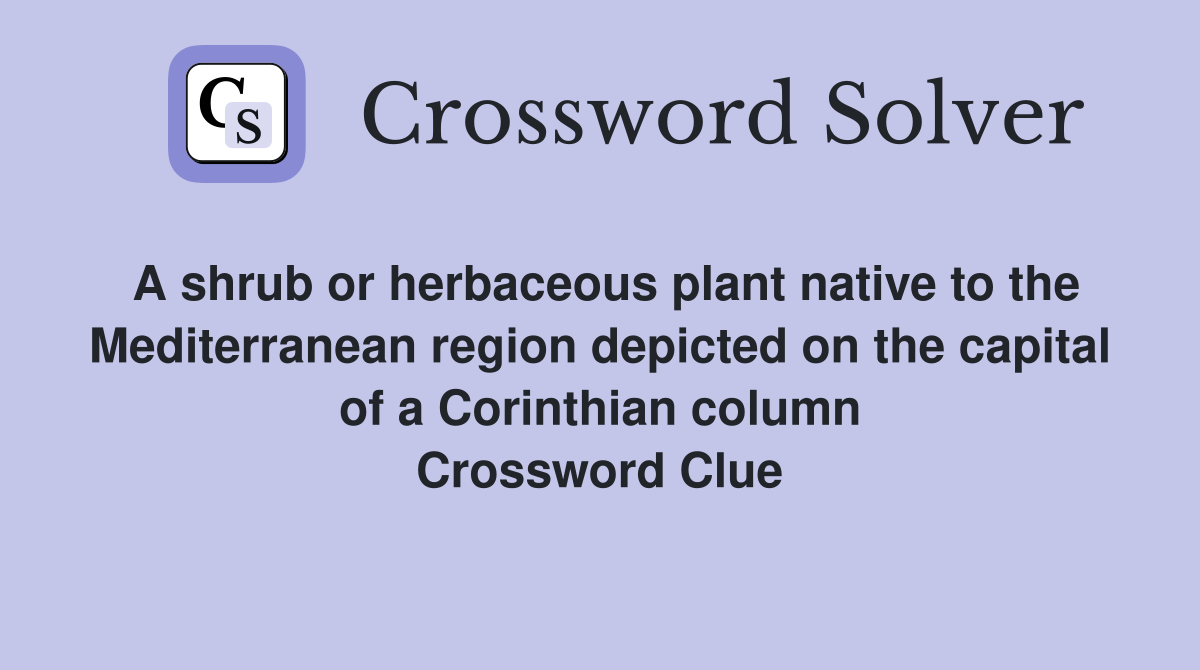 A shrub or herbaceous plant native to the Mediterranean region depicted on the capital of a Corinthian column Crossword Clue