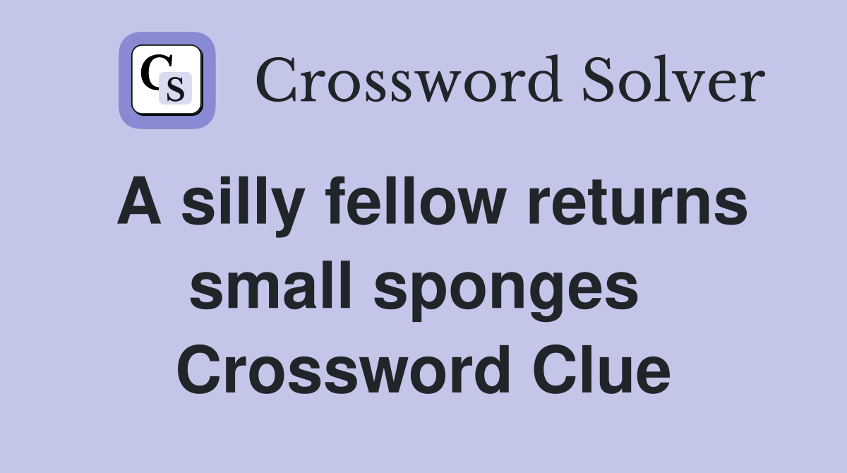 A silly fellow returns small sponges  Crossword Clue