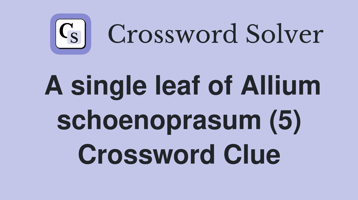 A single leaf of Allium schoenoprasum (5) Crossword Clue