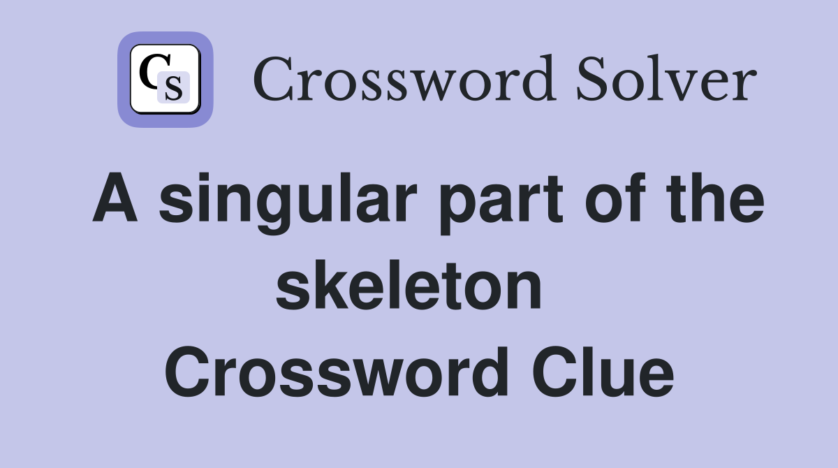 A singular part of the skeleton  Crossword Clue