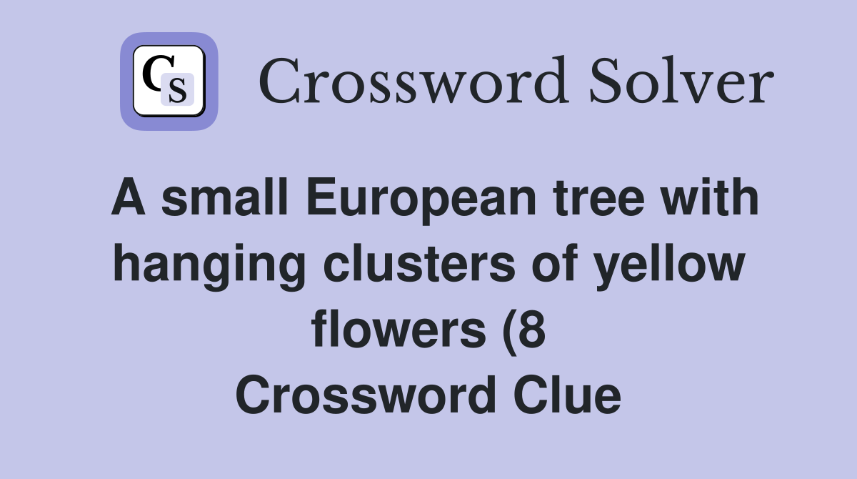 A small European tree with hanging clusters of yellow flowers (8 A small European tree with hanging clusters of yellow flowers (8