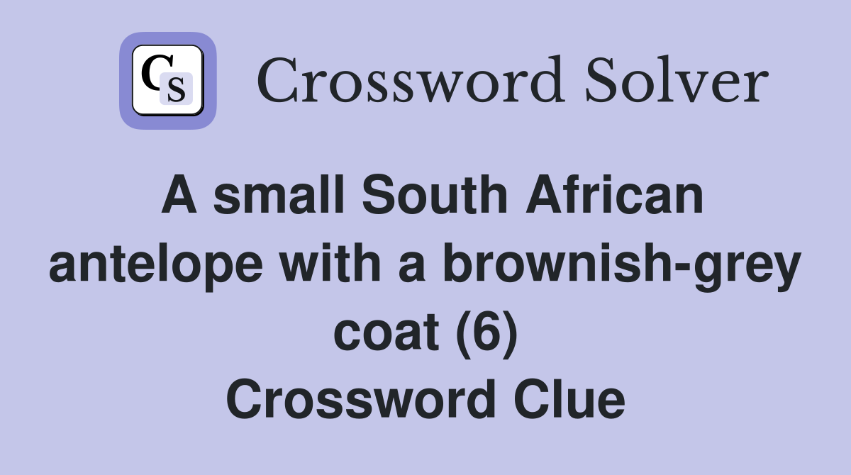 A small South African antelope with a brownish-grey coat (6) Crossword Clue