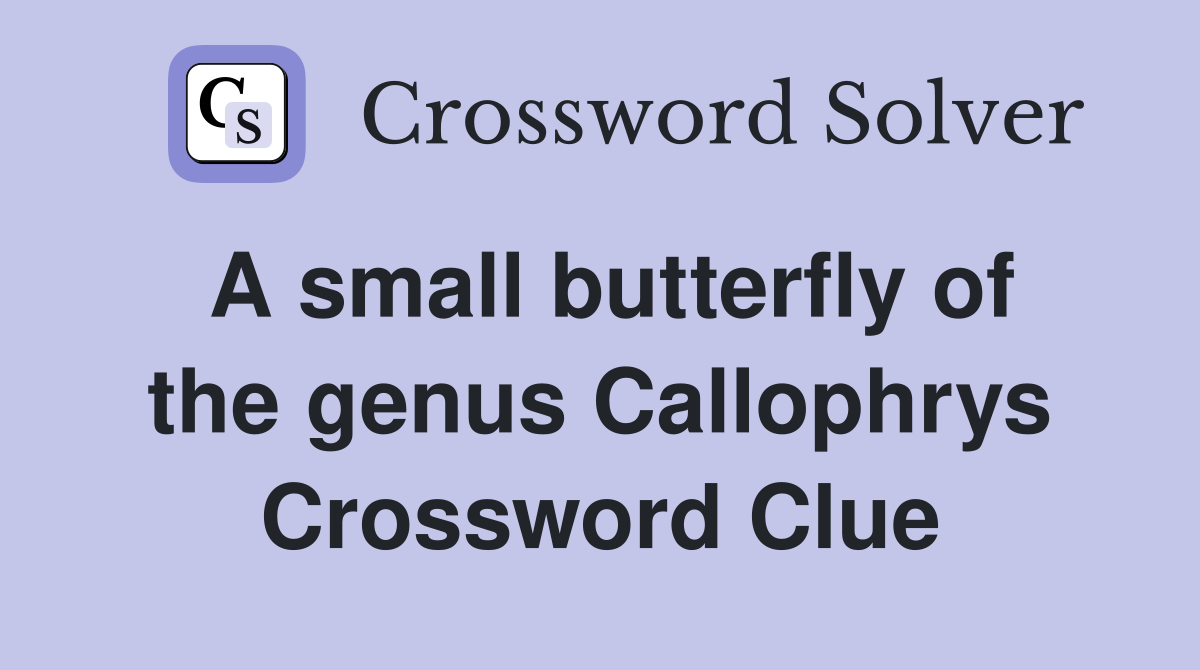 A small butterfly of the genus Callophrys Crossword Clue