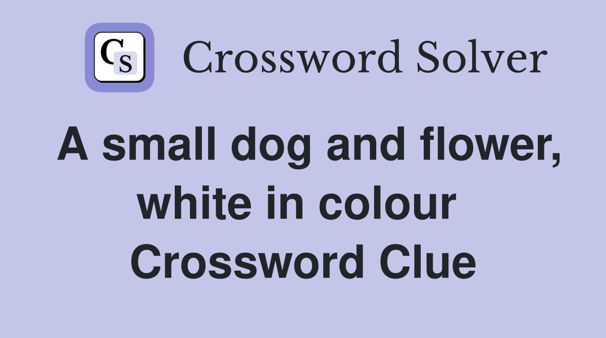 A small dog and flower, white in colour  Crossword Clue