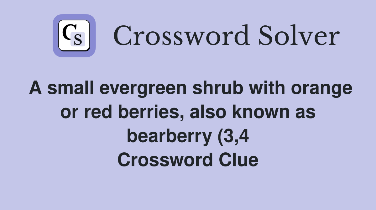 A small evergreen shrub with orange or red berries also known as A small evergreen shrub with orange or red berries also known as