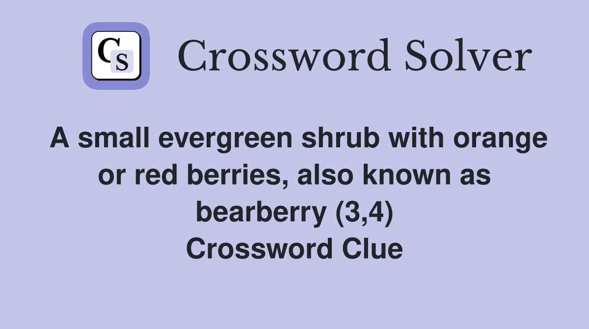 A small evergreen shrub with orange or red berries also known as