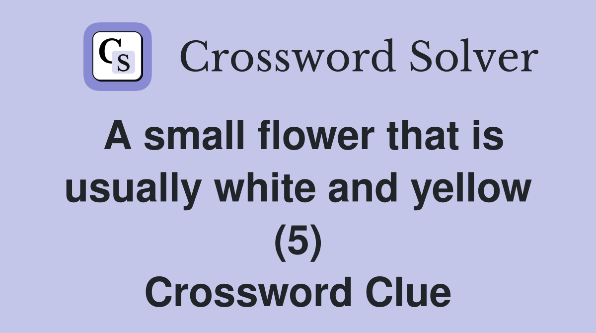 A small flower that is usually white and yellow (5) Crossword Clue