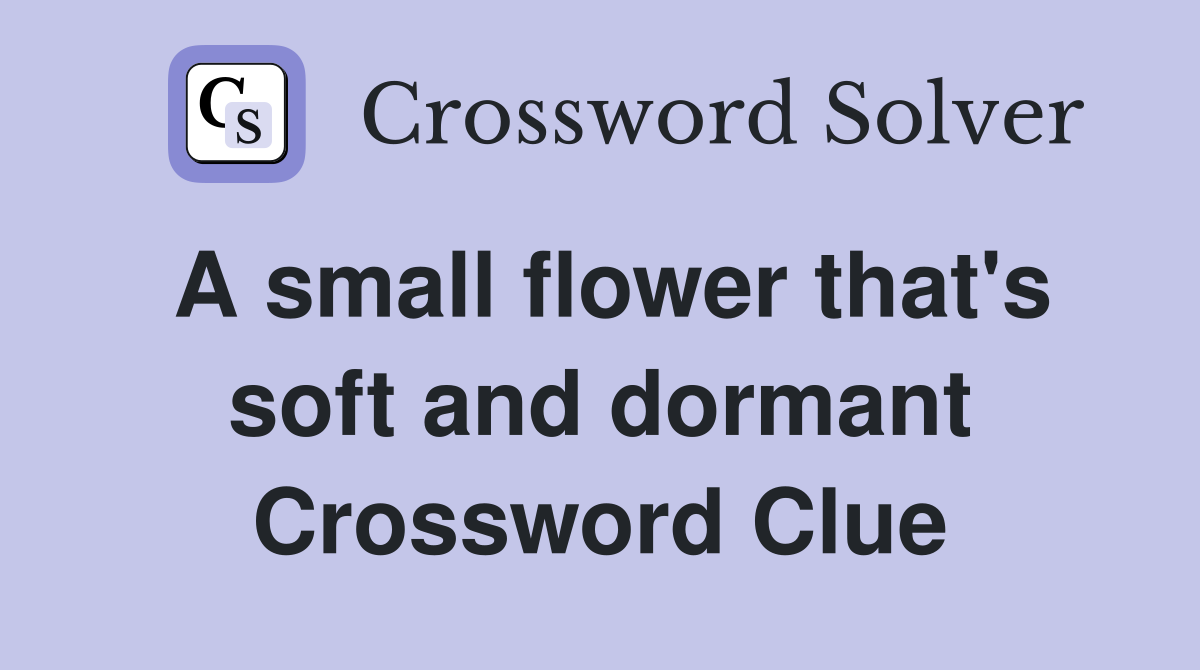 A small flower that's soft and dormant Crossword Clue