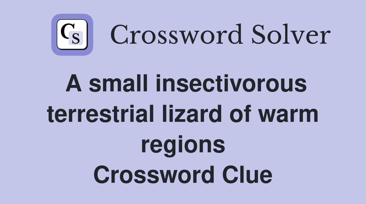 A small insectivorous terrestrial lizard of warm regions Crossword Clue