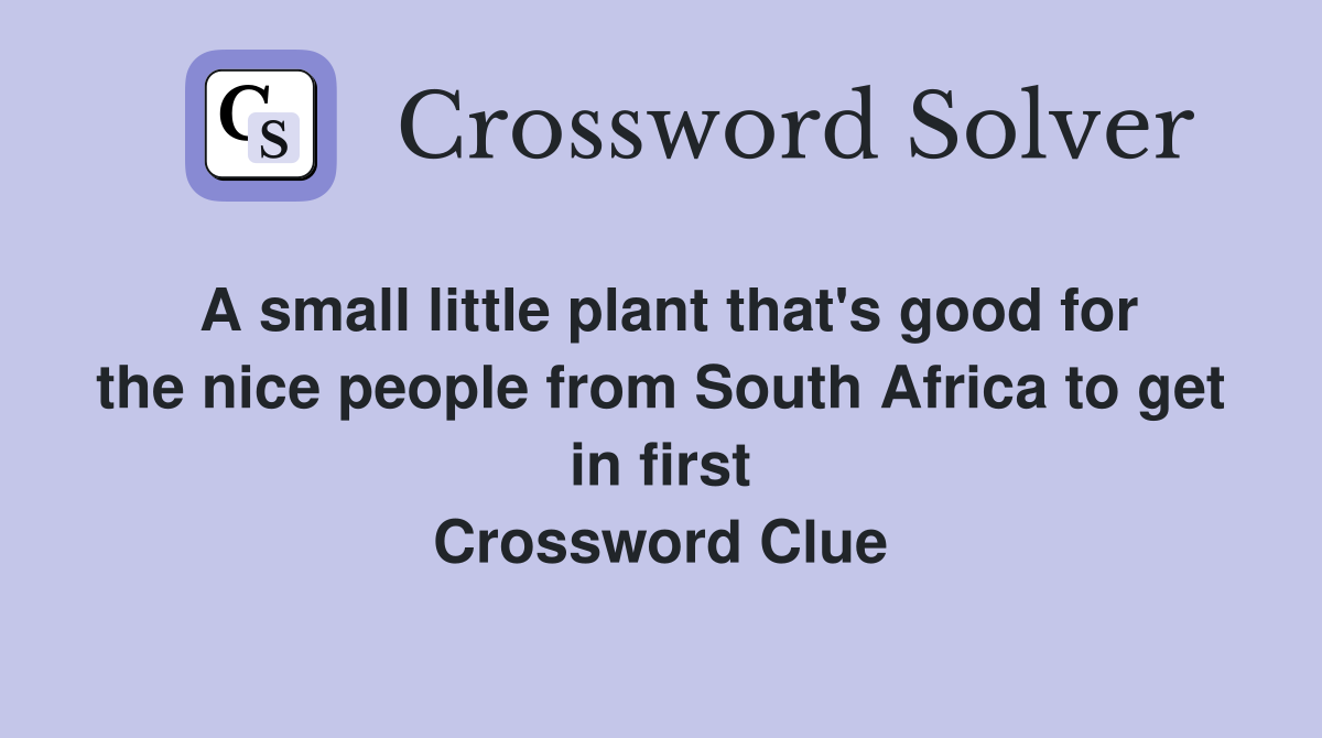 A small little plant that's good for the nice people from South Africa to get in first Crossword Clue