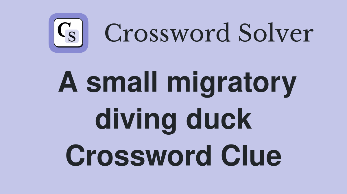 A small migratory diving duck Crossword Clue