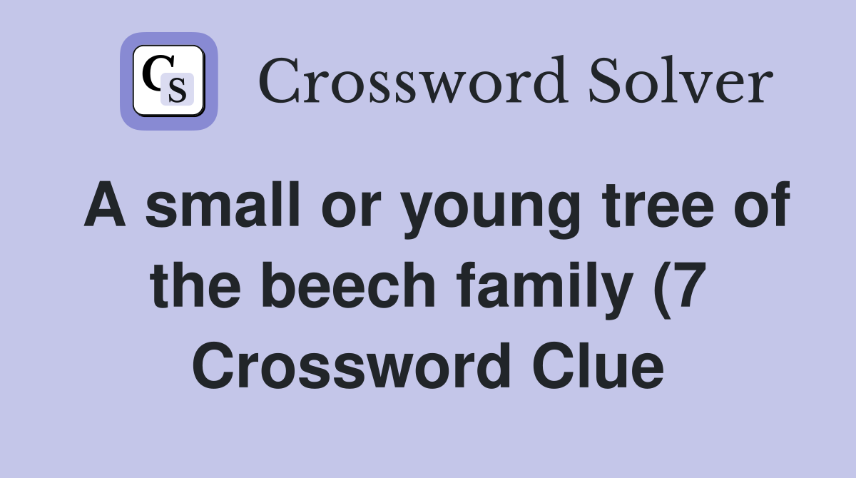 A small or young tree of the beech family (7) Crossword Clue Answers A small or young tree of the beech family (7) Crossword Clue Answers