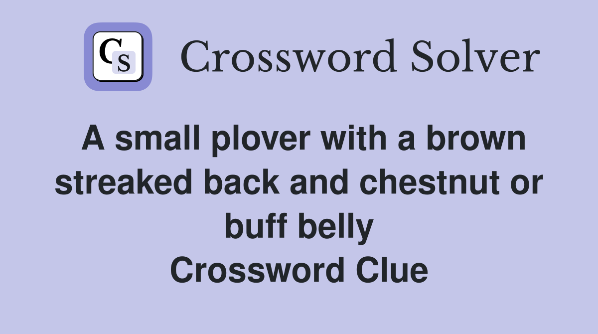 A small plover with a brown streaked back and chestnut or buff belly Crossword Clue