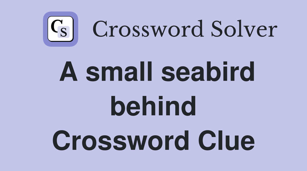 A small seabird behind Crossword Clue