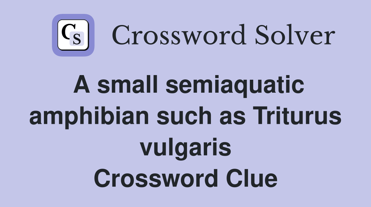 A small semiaquatic amphibian such as Triturus vulgaris Crossword Clue