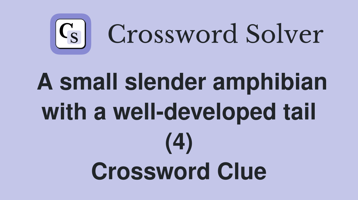 A small slender amphibian with a well-developed tail (4) Crossword Clue
