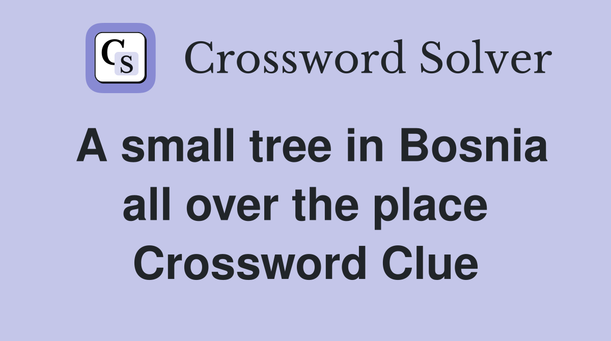 A small tree in Bosnia all over the place Crossword Clue