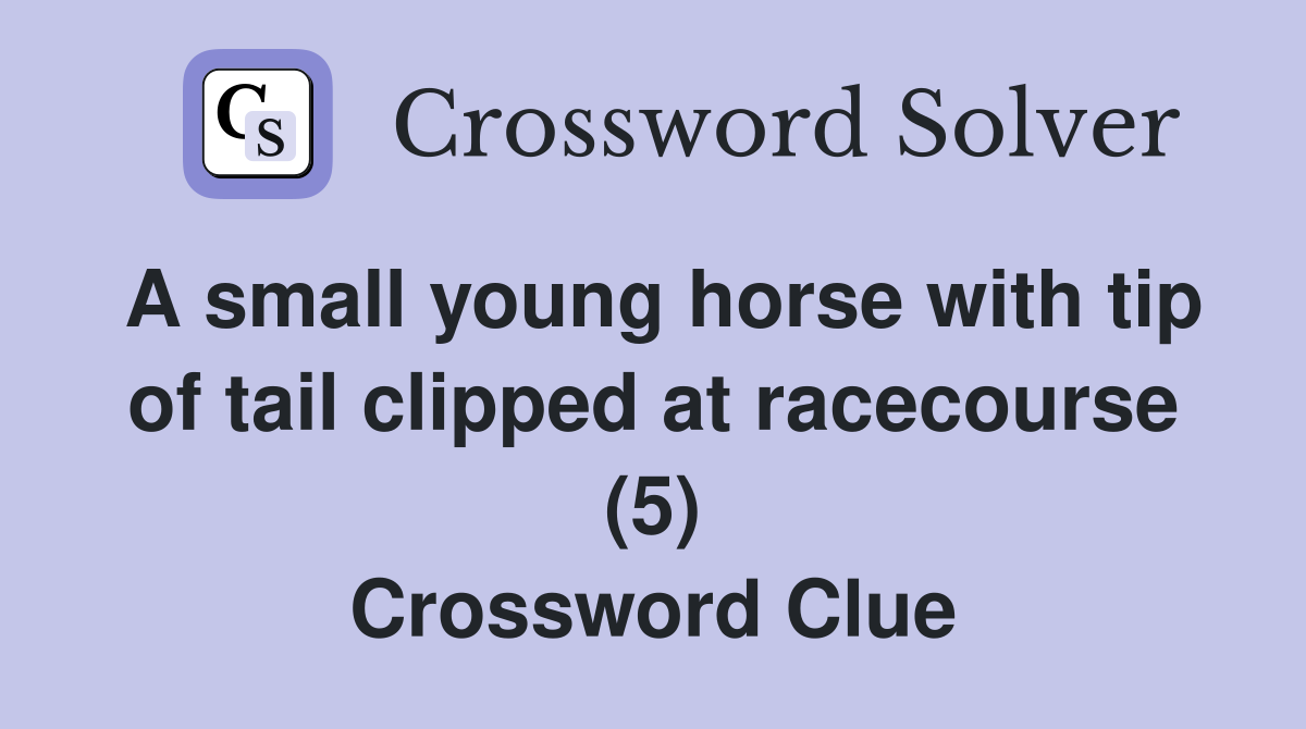 A small young horse with tip of tail clipped at racecourse (5) Crossword Clue