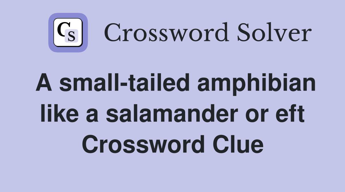 A small-tailed amphibian like a salamander or eft Crossword Clue