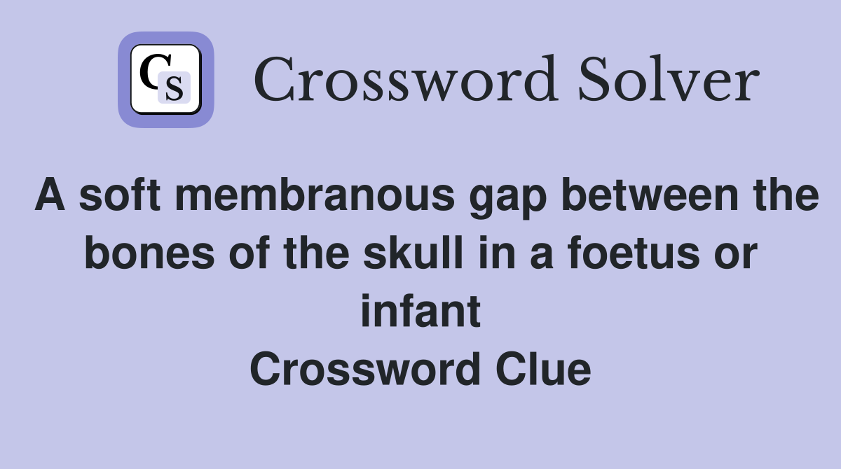 A soft membranous gap between the bones of the skull in a foetus or infant Crossword Clue