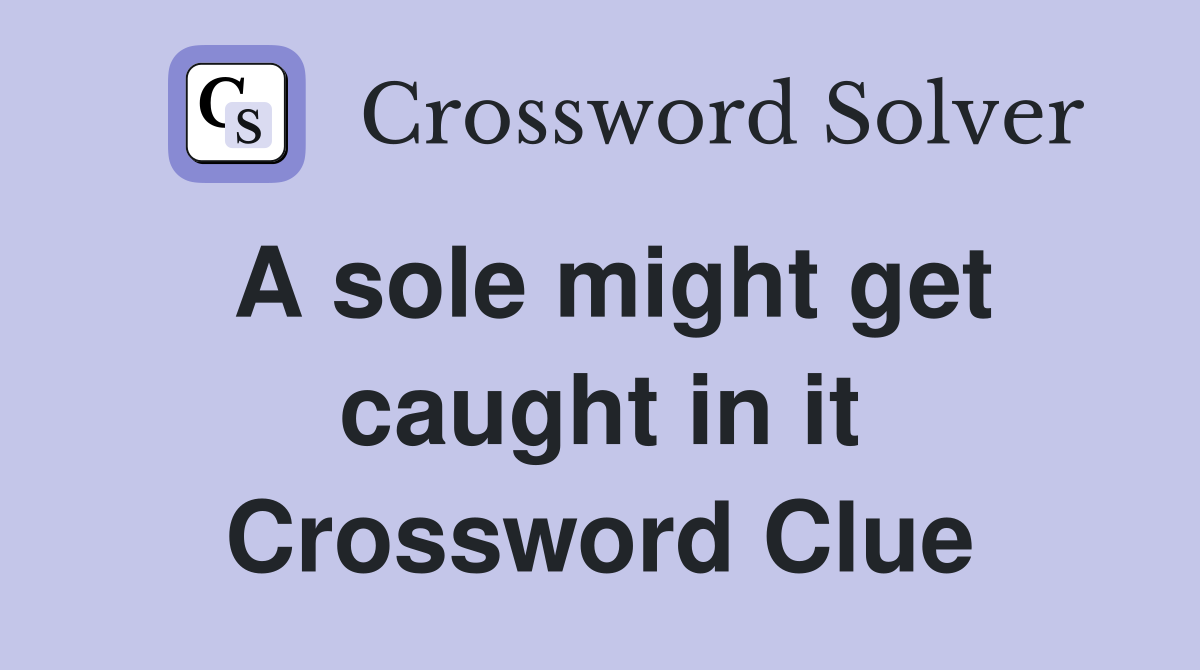A sole might get caught in it Crossword Clue