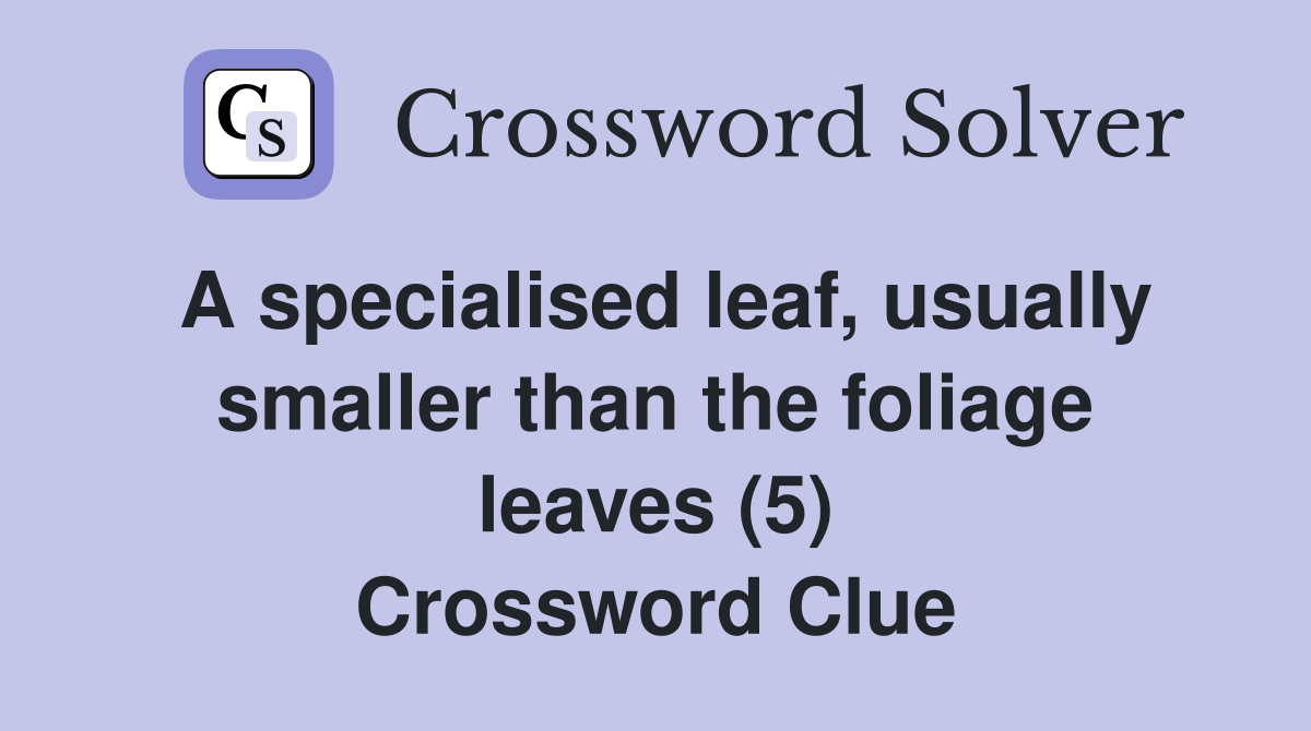 A specialised leaf, usually smaller than the foliage leaves (5) Crossword Clue