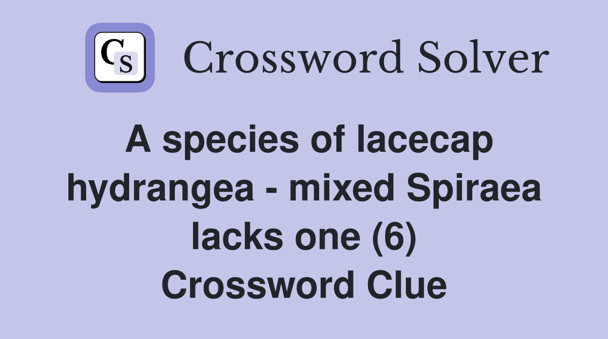 A species of lacecap hydrangea - mixed Spiraea lacks one (6) Crossword Clue