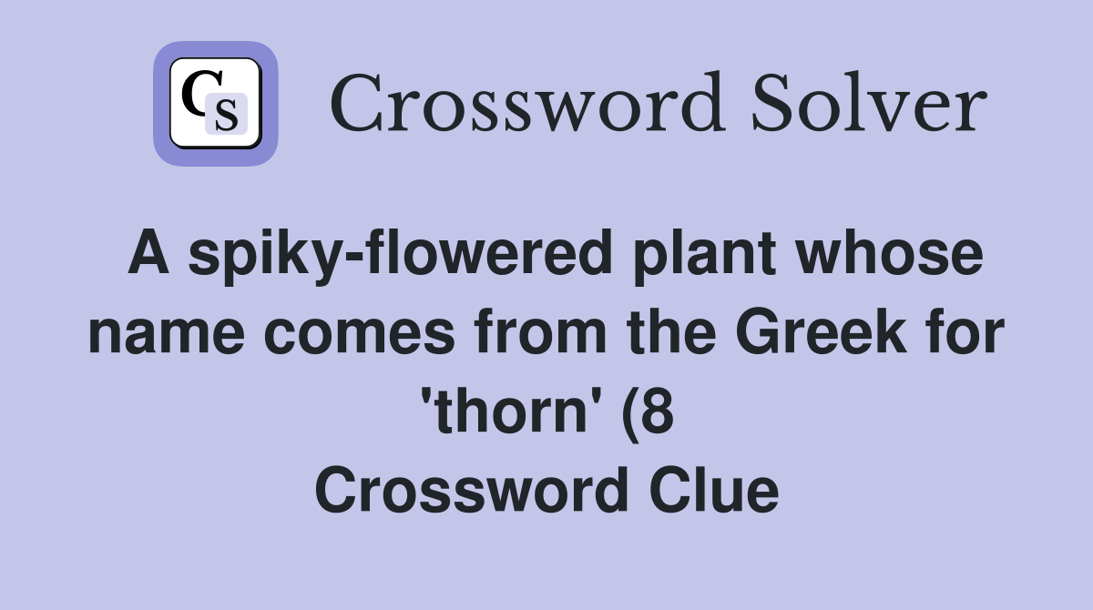 A spiky flowered plant whose name comes from the Greek for #39 thorn #39 (8 A spiky flowered plant whose name comes from the Greek for #39 thorn #39 (8