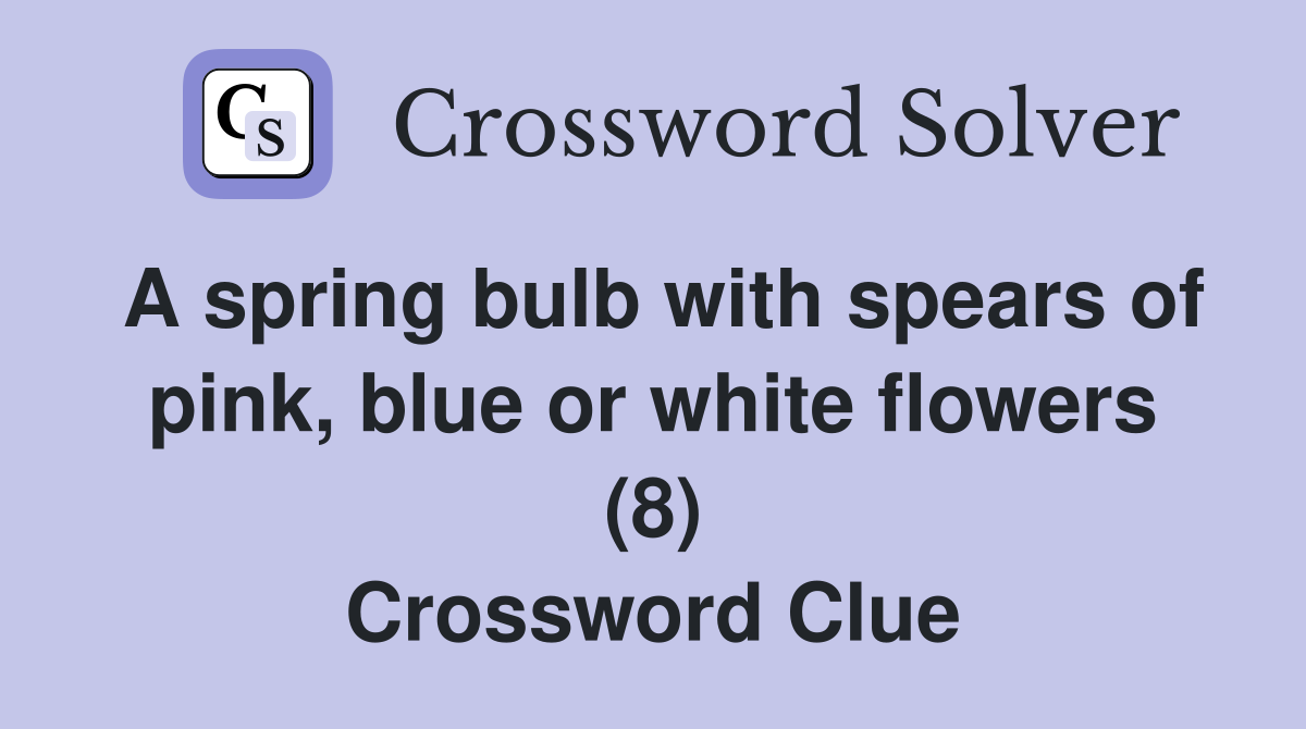 A spring bulb with spears of pink, blue or white flowers (8) Crossword Clue