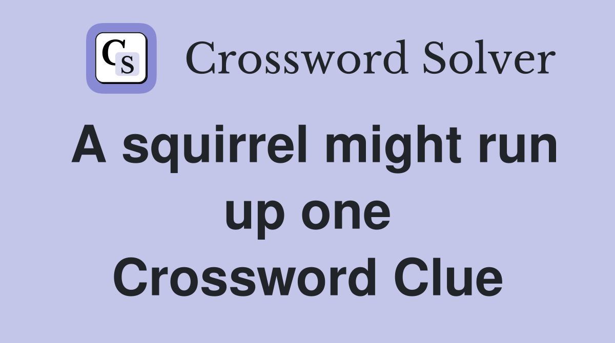 A squirrel might run up one Crossword Clue