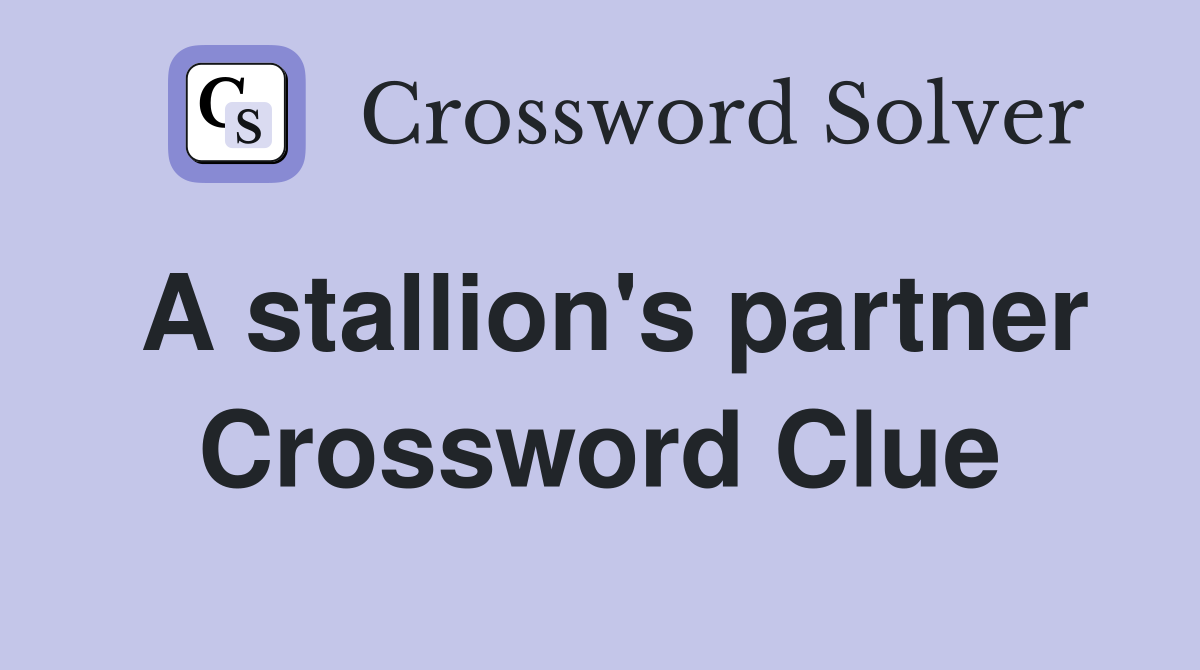 A stallion's partner Crossword Clue