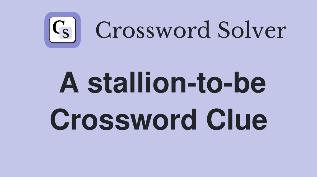 A stallion-to-be Crossword Clue