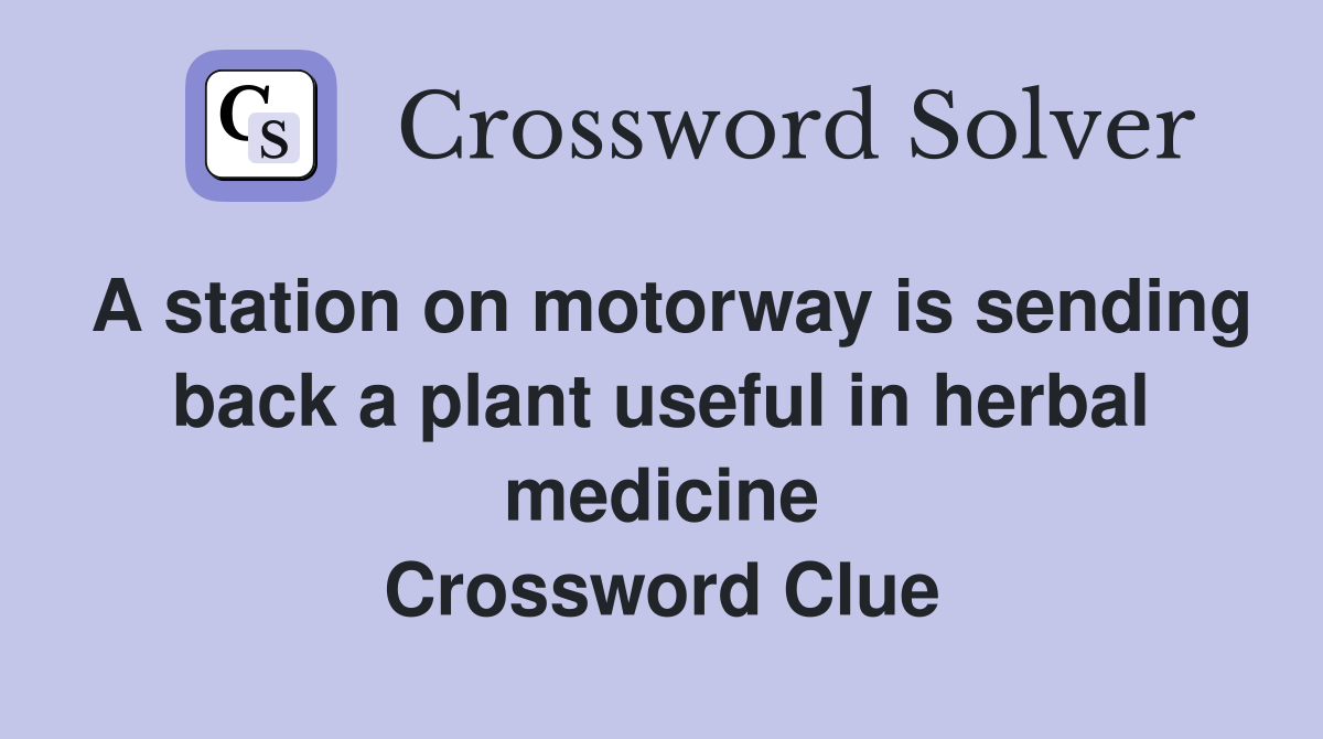 A station on motorway is sending back a plant useful in herbal medicine Crossword Clue