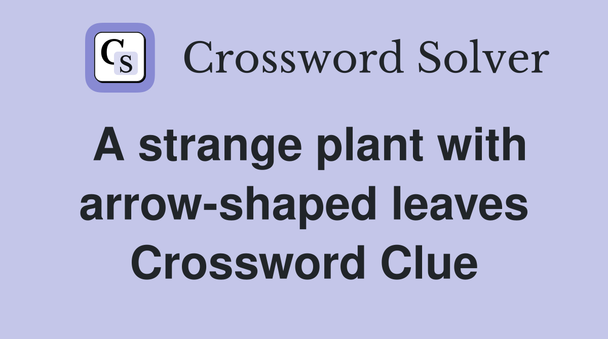 A strange plant with arrow-shaped leaves Crossword Clue