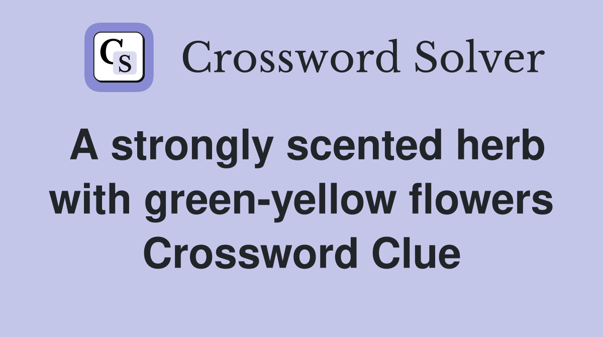 A strongly scented herb with green-yellow flowers Crossword Clue