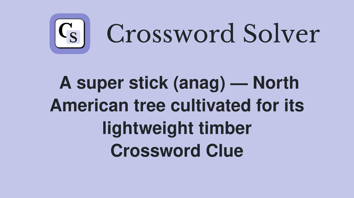 A super stick (anag) — North American tree cultivated for its lightweight timber Crossword Clue