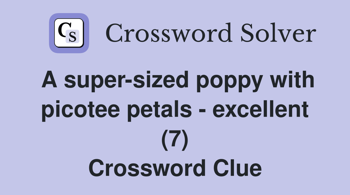 A super-sized poppy with picotee petals - excellent (7) Crossword Clue