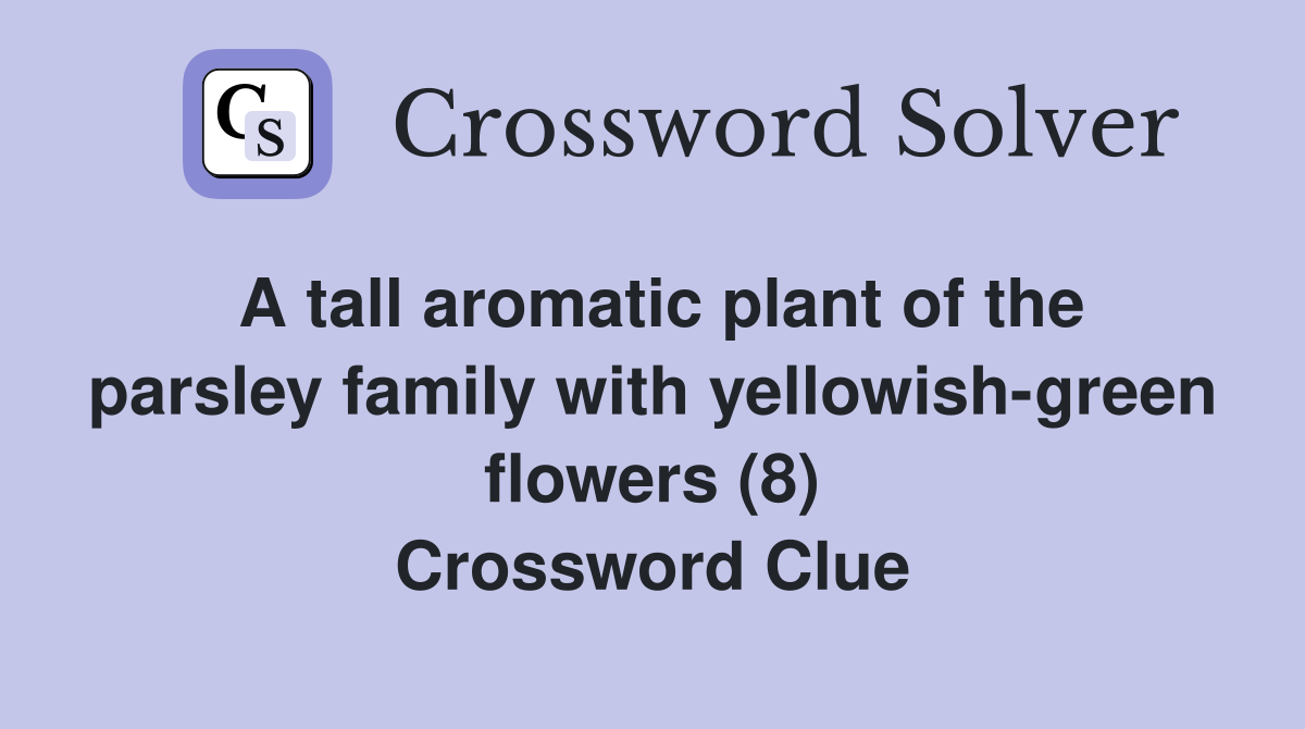 A tall aromatic plant of the parsley family with yellowish-green flowers (8) Crossword Clue
