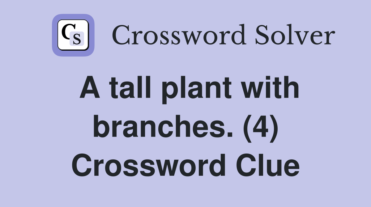 A tall plant with branches. (4) Crossword Clue