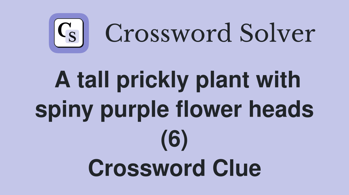 A tall prickly plant with spiny purple flower heads (6) Crossword Clue