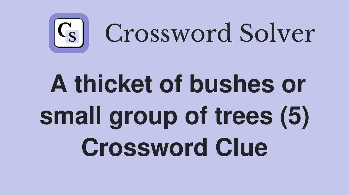 A thicket of bushes or small group of trees (5) Crossword Clue