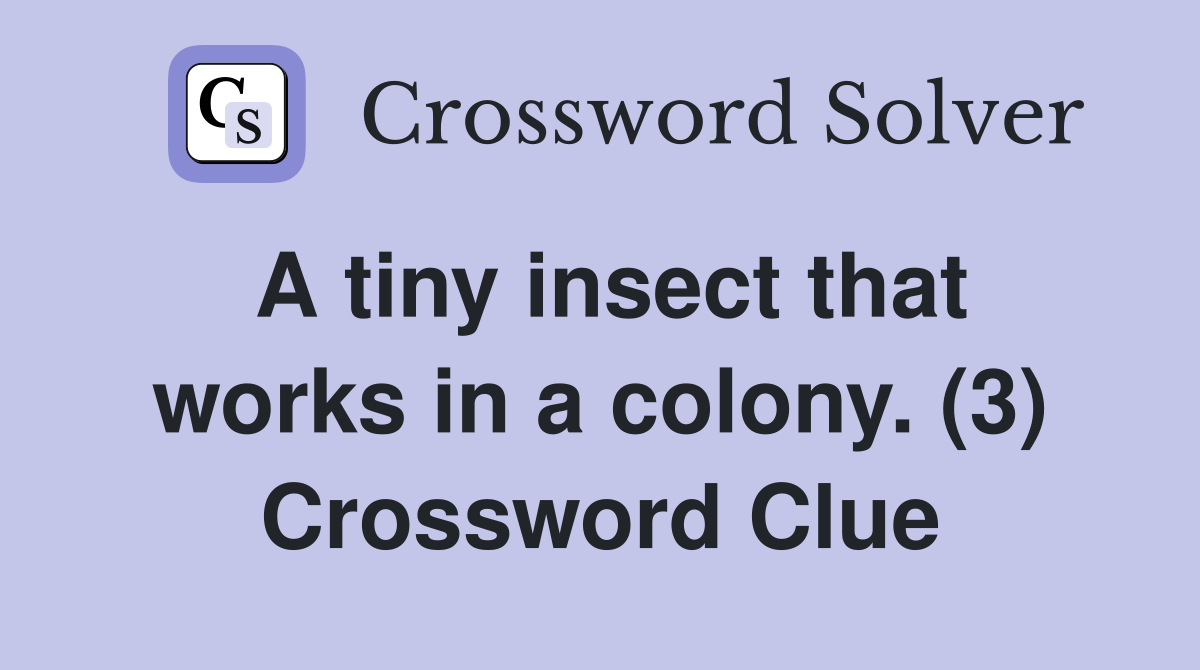 A tiny insect that works in a colony. (3) Crossword Clue