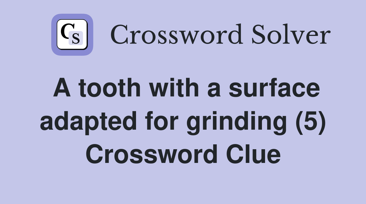 A tooth with a surface adapted for grinding (5) Crossword Clue