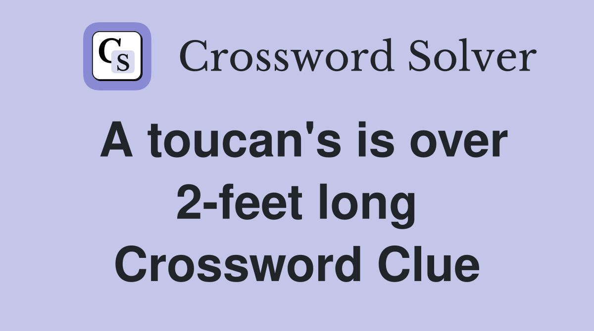A toucan's is over 2-feet long Crossword Clue