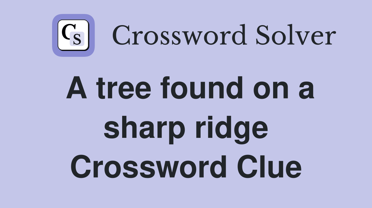 A tree found on a sharp ridge Crossword Clue