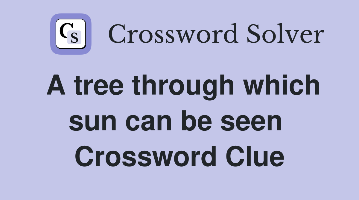 A tree through which sun can be seen  Crossword Clue