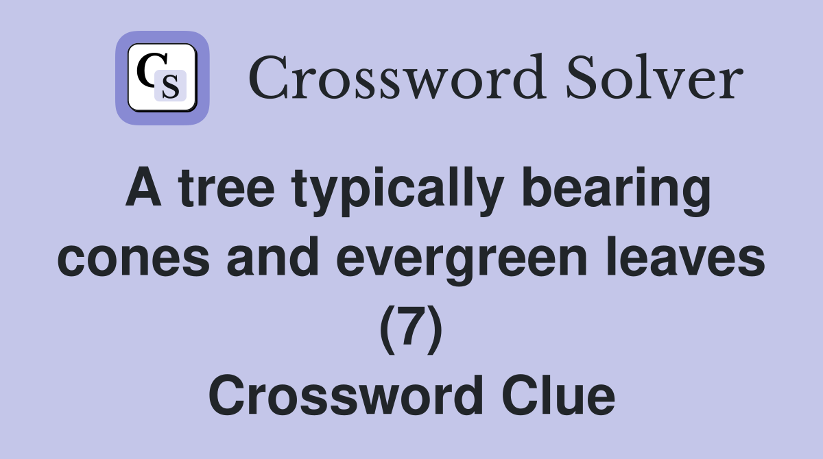 A tree typically bearing cones and evergreen leaves (7) Crossword Clue