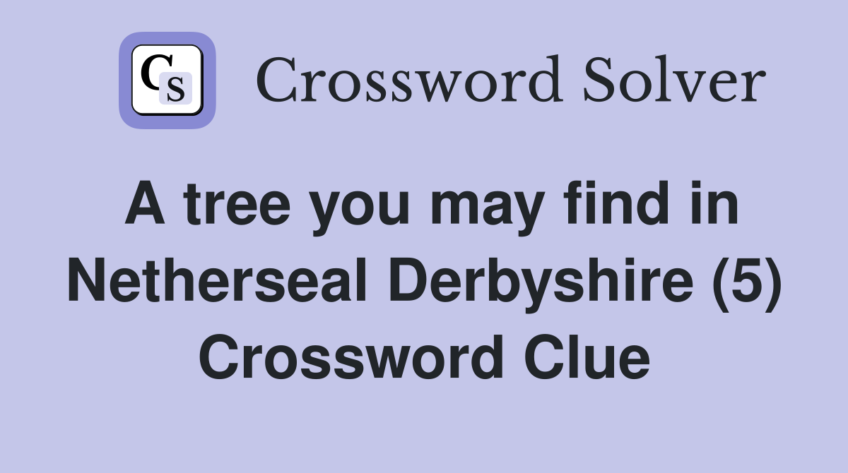 A tree you may find in Netherseal Derbyshire (5) Crossword Clue