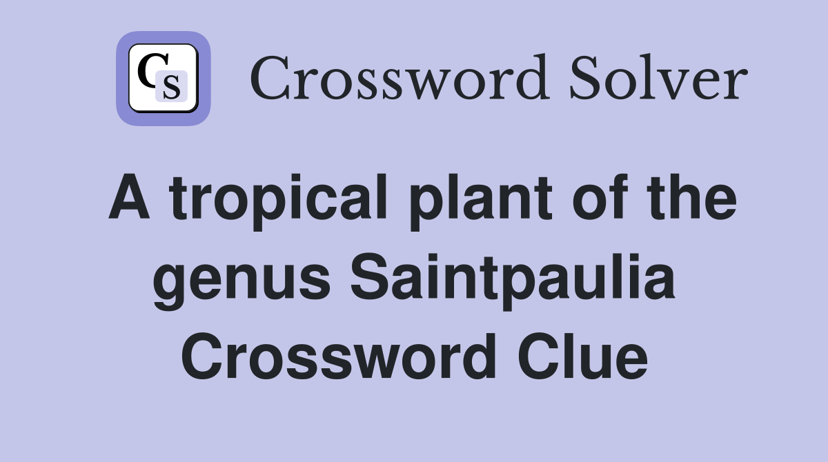A tropical plant of the genus Saintpaulia Crossword Clue